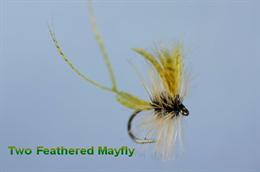 Two Feathered Mayfly